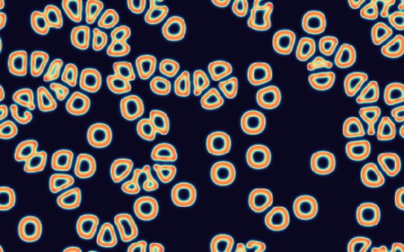 Coral-like reaction-diffusion patterns